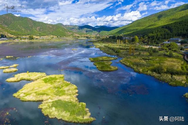 泸沽湖草海差点把我看吐了,到处是油画般的场景,能不能别这么美