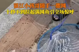 这一下是多少“钓鱼佬”的一辈子……“小孩哥”撒网十秒捞起满网鱼！图片