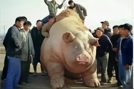 那个时期的生产队长有多牛？图片