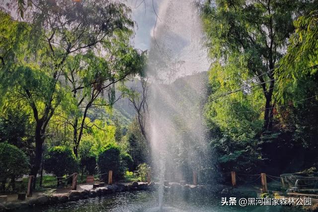 西安“热情”上热搜？么事！黑河国家森林公园让你感受山间清凉一“夏”