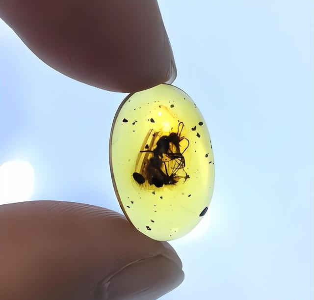 看后颠覆你的认知！有机宝石这么多！看完帮您涨知识！