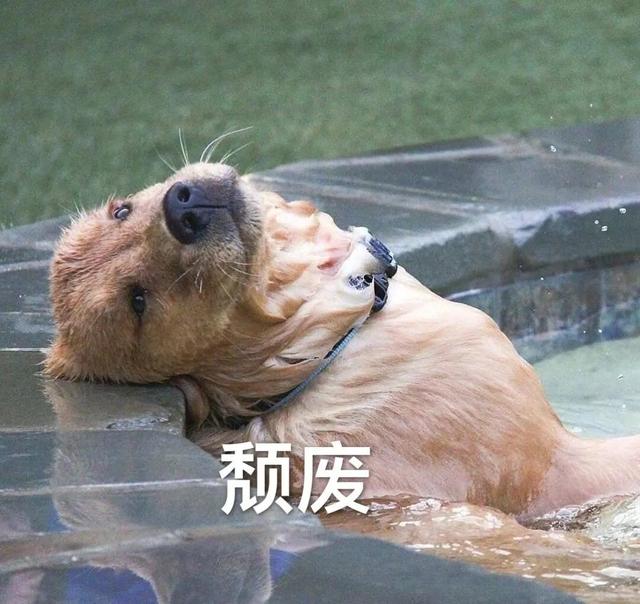 "下雨天这样发，去笑翻你朋友圈"