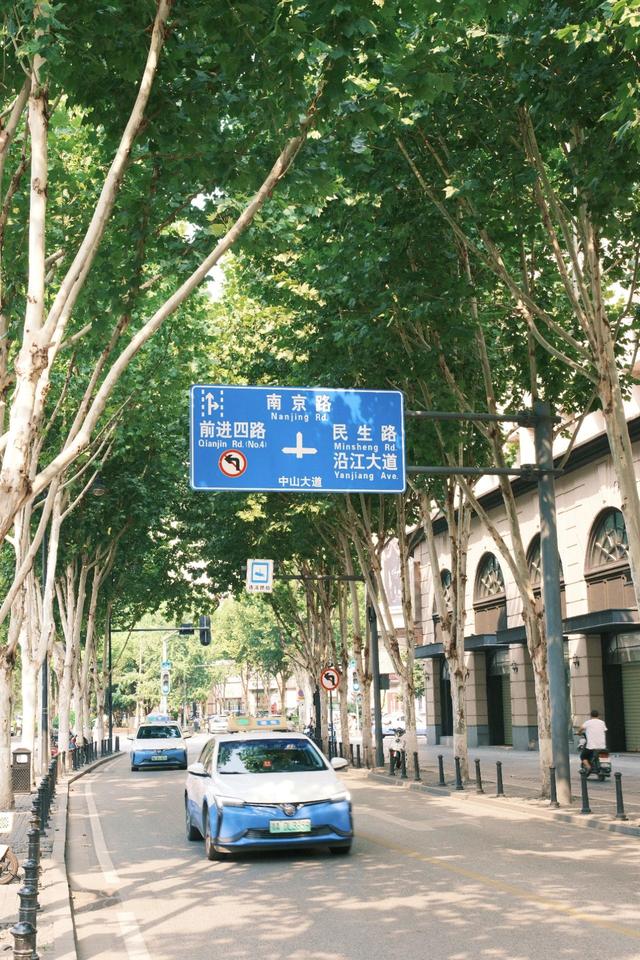 来，走进江汉路的林荫道