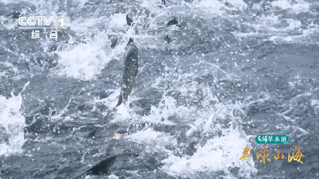 天下眉目之地，有何舌尖至味？