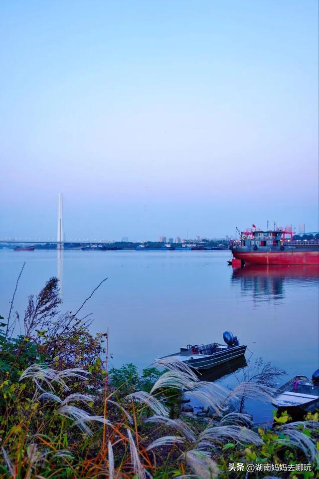 0.5H直达长株潭私藏“小白洋淀”，荻花摇曳处解锁老船厂遛娃秘境！