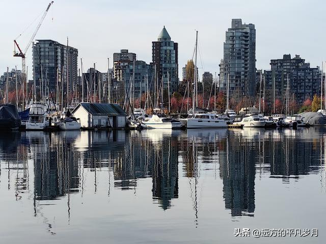 温哥华游记（四）