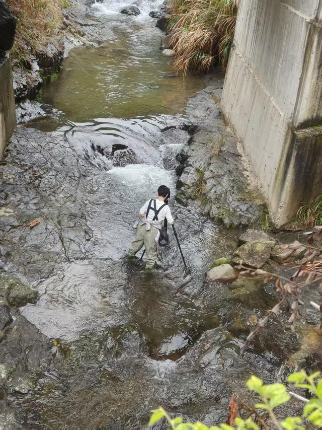 仙居县余下坑村，云卷云舒推窗风满帘，望水望山枝头花盈春