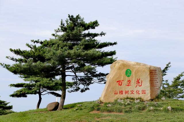 湖北宜昌：迷人的的百里荒大草原，这些发现，是锦上之花