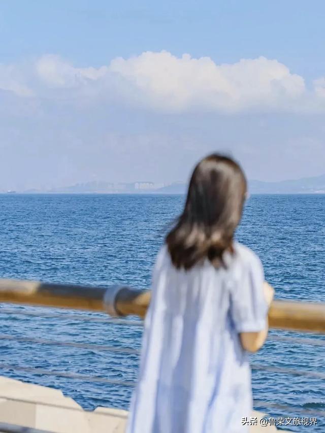 大连秋日鎏金时：荧光海低语，老电车叮咚，海鲜盆里盛着山海情