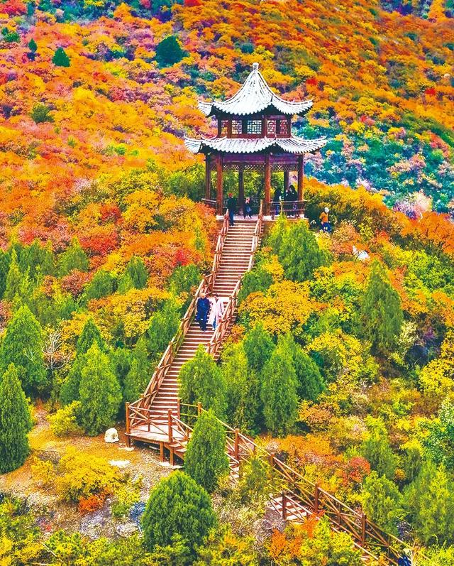 【文明旅游】看！太原的秋天，绝美！