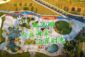 山城有道 | 南岸：大鱼海棠 江岸时光图片