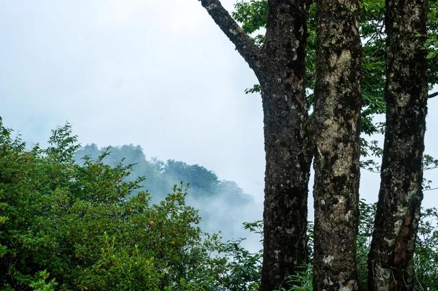 桂林：云端小南山--龙胜秘境掠影！