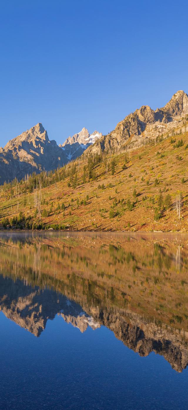 手机壁纸|美如画的自然风景