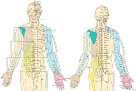 穴位就是中药，人体自有的消炎大药！按摩总比吃药强图片