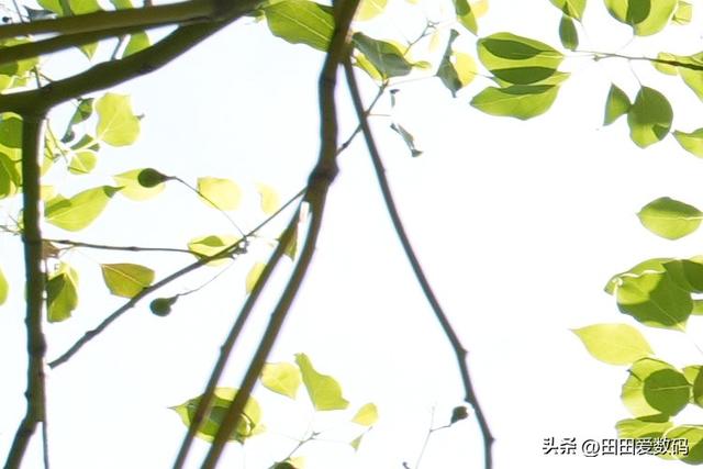 Tamron 16-30mm F2.8 G2 评测！