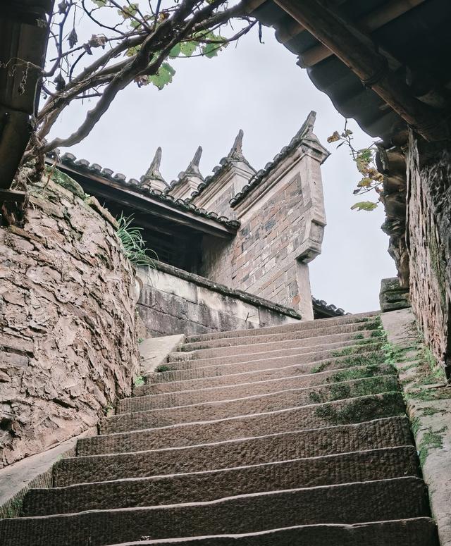 我是北京人，在四川泸州逛了几天，憋不住想讲讲这趟行程的感受。