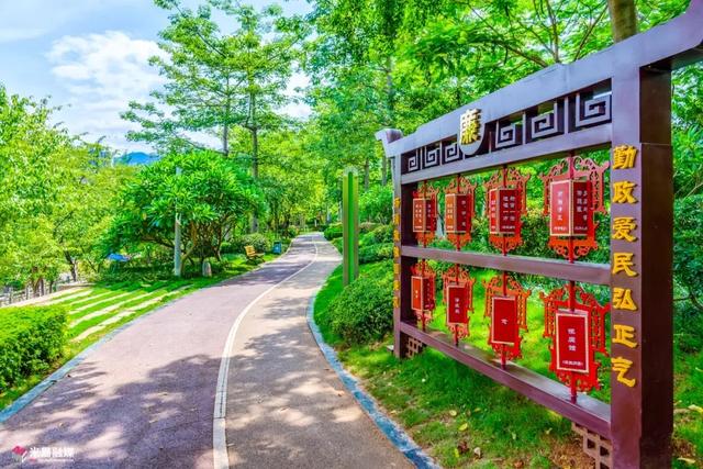 有朋自远方来！米易City walk超精彩