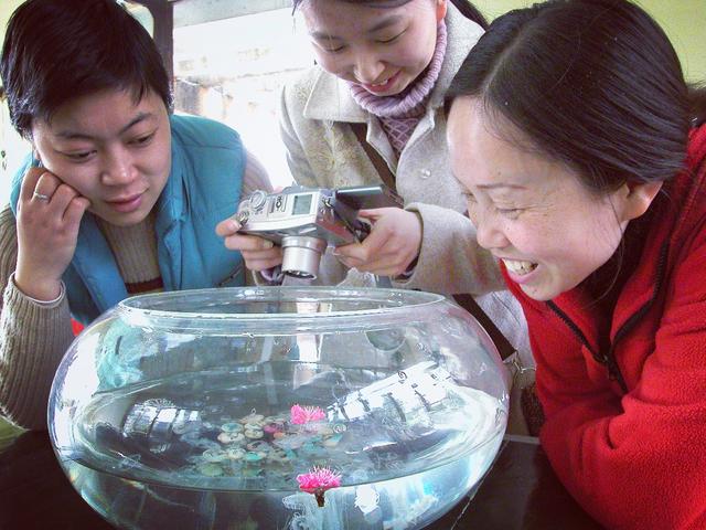 湖北宜昌：最早赏桃花的三个景区，枝江百里桃花园堪称桃花之王