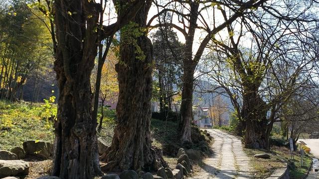 汉江野趣赋—陕西省安康市汉江探访四