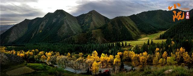 【联动宣传】张掖肃南寄出“秋日请柬” 这些美景藏不住了！