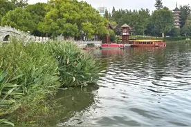 南京白鹭洲公园的景致及鲜为人知的往事图片