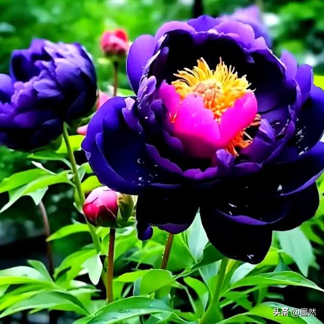 人这辈子，拼尽全力都最后图个啥？是图那口气？还是图个体面？