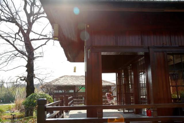 文旅项目看变化 全域旅游强信心：庐山景区联合党委开展“庐山市经济社会高质量发展‘看变化’活动”