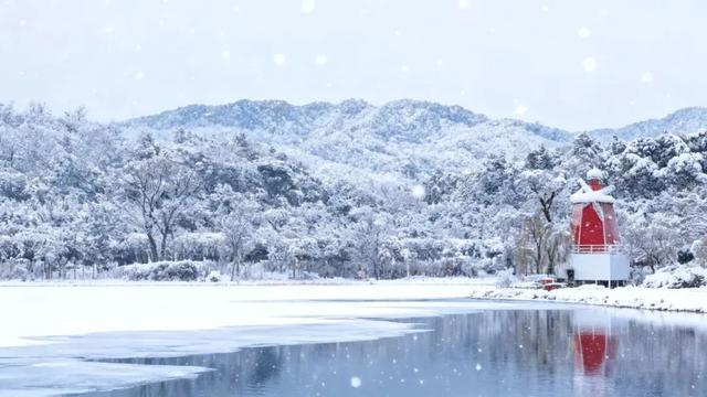 实拍！雪后淄博，秒变水墨仙境！