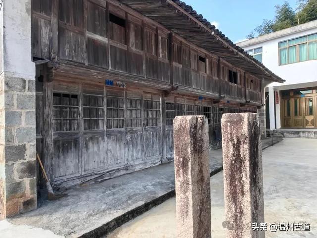 温州这两条知名红枫古道已经红啦!周末是最佳观赏期,不要错过!