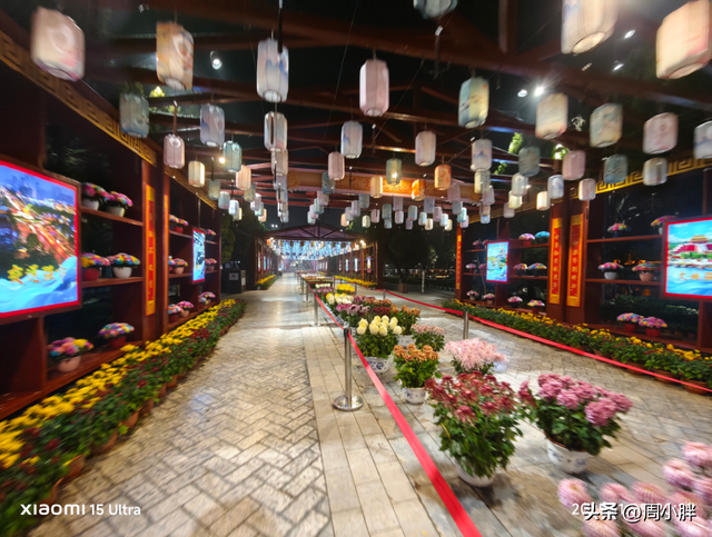 15分钟617人登顶龙亭大殿，传统观光景区迈向沉浸夜游的关键一步