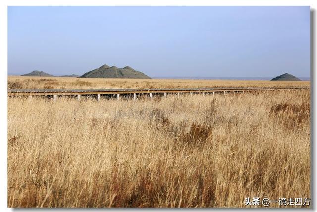 深秋时节，走进长春农安的波罗湖湿地