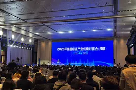成都市数据标注产业图谱发布图片