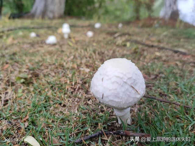 出游第7站-岳阳：因去的不是时候,愉悦与失落参半,岳阳楼值得登吗