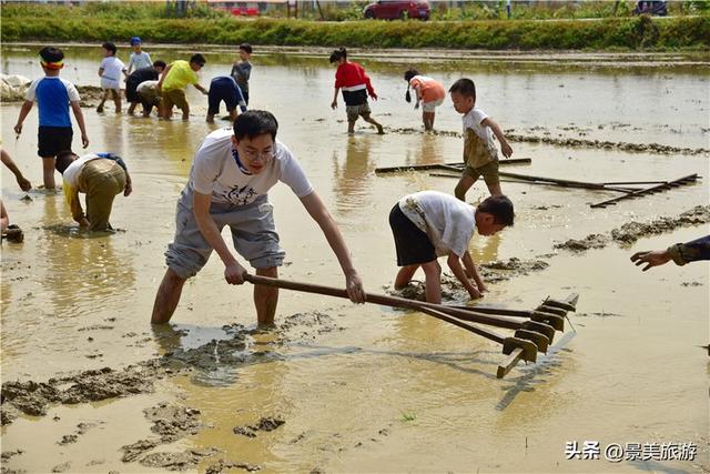 五一假期去哪儿？佛山紫南首届农耕文化节邀您共赴田园之约