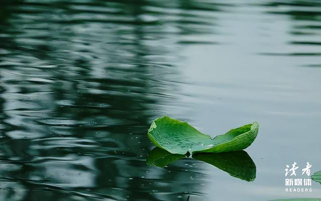 弘一法师：“人一旦死了，生前的衣服、手表，盖过的被子，睡过的床，都会被扔掉，烧掉，处理掉……”