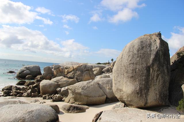 南部非洲：南非开普敦企鹅岛