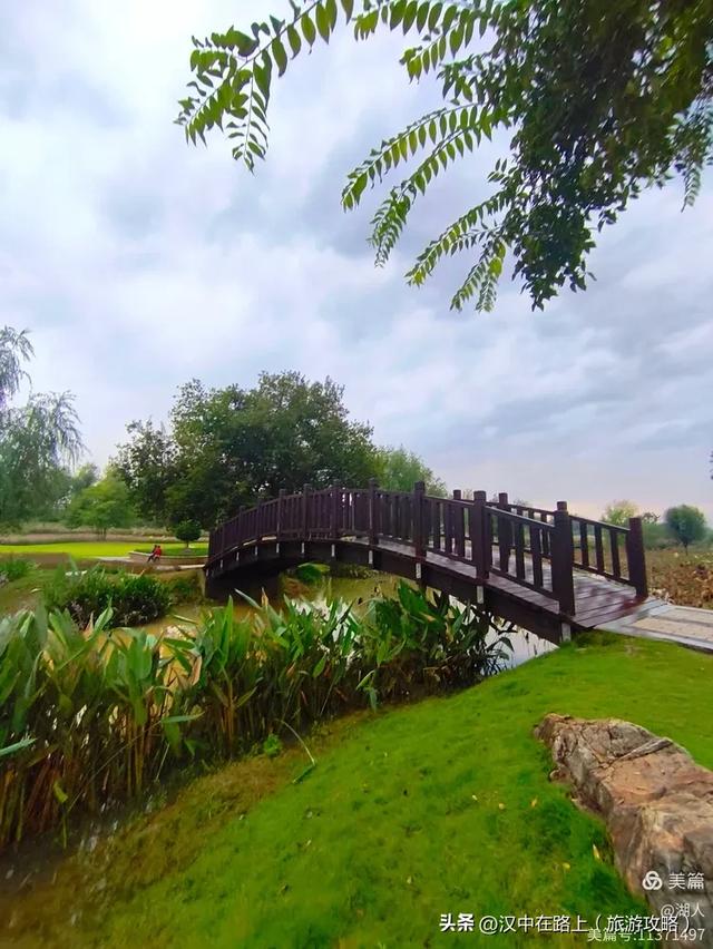 秋雨中的汉中湿地