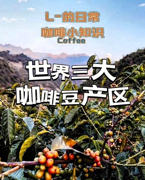 咖啡的故乡是哪里？