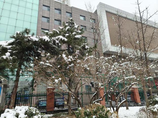 石家庄，三月大雪纷飞