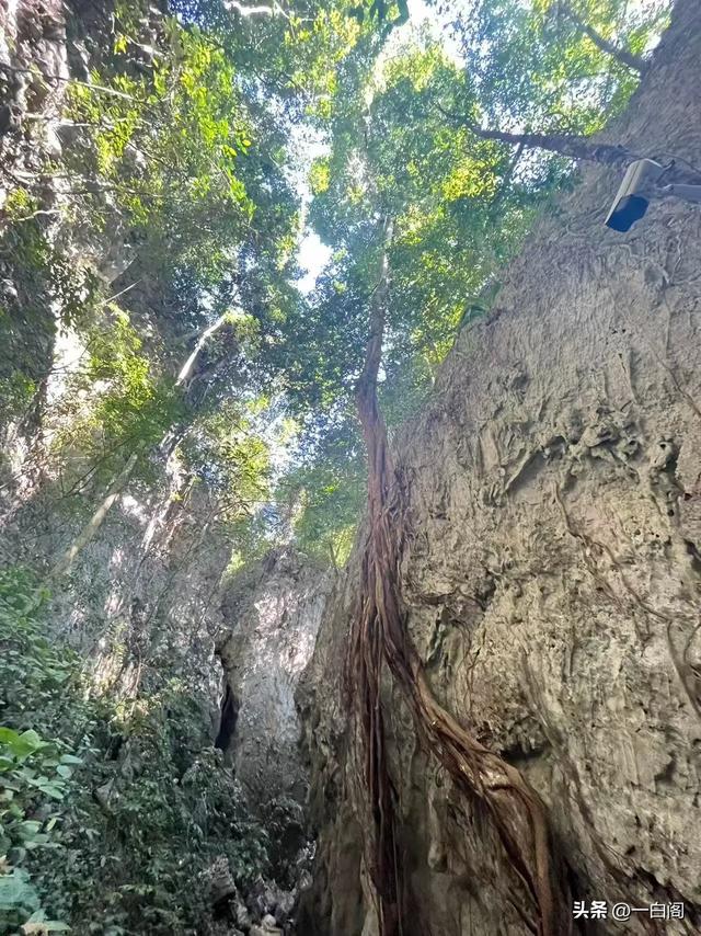 蓝色泻湖之时光跳跃