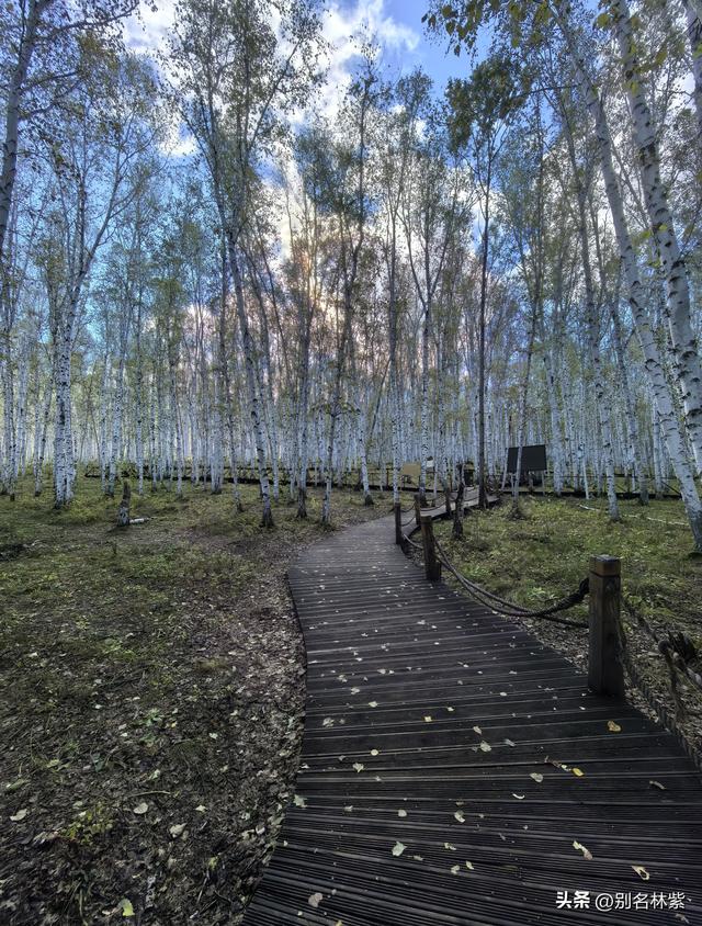 额尔古纳500元包车卡线一日游，大家看看这钱花的值不值？