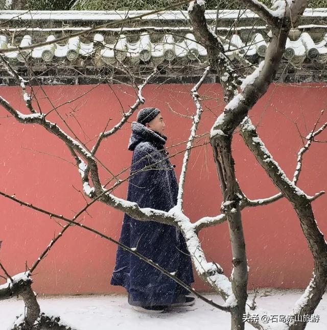 大雪至,雪落赤山!这份冬日禅意与山海盛景请查收