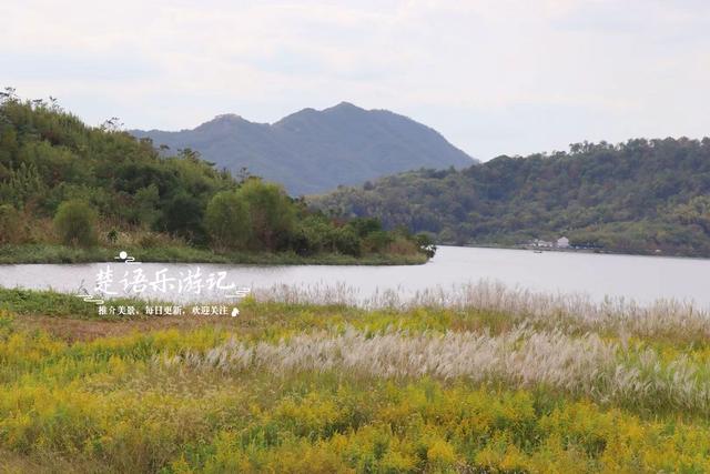 绍兴上虞的千年古湖，竟成了“绍兴的小镰仓”？真实情况原来这样