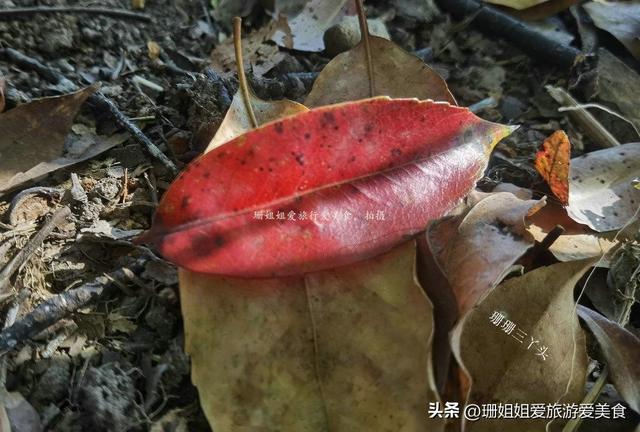 清远“小众”徒步路线，藏着渔村慢时光，山水美景中感初秋美景