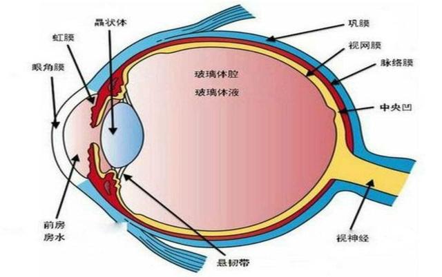 生命起源宇宙？多名宇航员返回地球后，身体出现“不可逆”变化