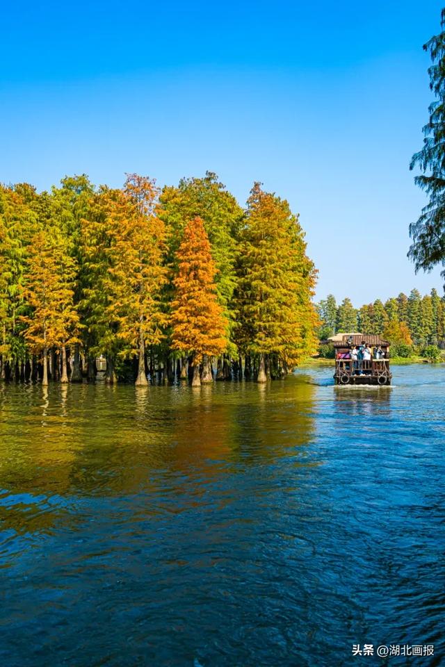 【知音湖北】“知音湖北超级文旅日，网络大v17寻味仙桃”活动圆满收官