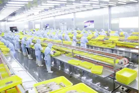 拼多多“商家权益保护委员会”推出惠商新举措，新质供给助外贸工厂成功转内销图片