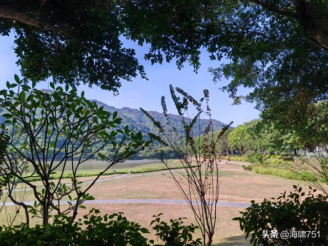 从化风云岭森林公园