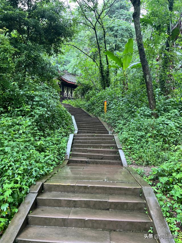 青城山，来过了，说几句
