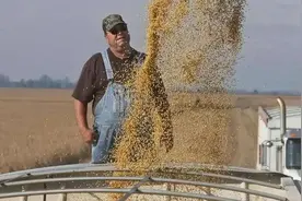 30万吨美国大豆披上阿根廷马甲，企图混过关，中国海关技高一筹！图片